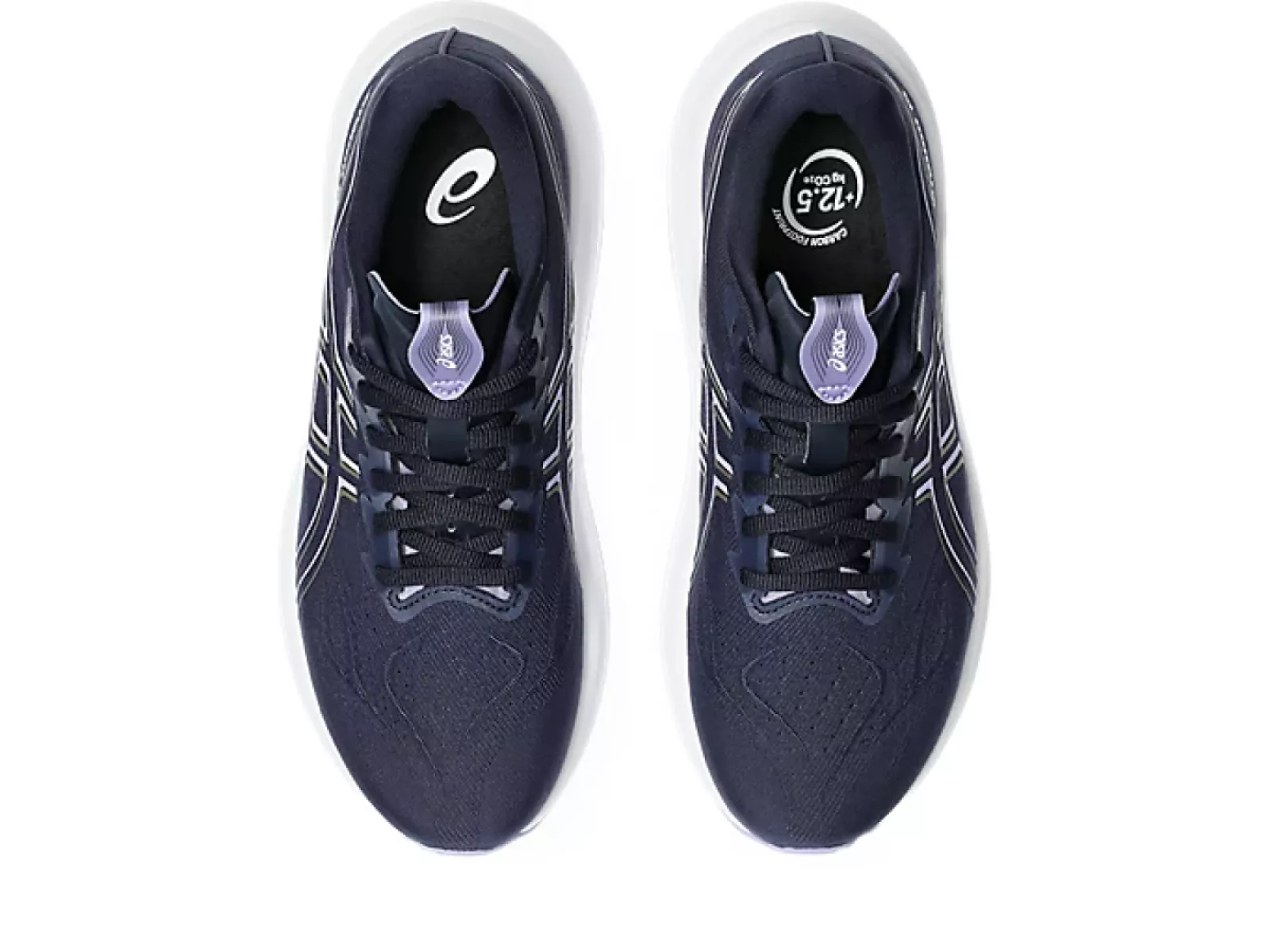 asics Asics GT-2000 14 Dames