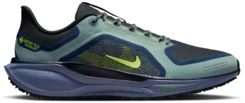 Nike Nike Pegasus 41 GORE-TEX Heren